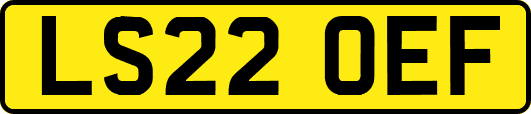 LS22OEF