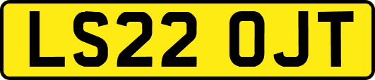 LS22OJT