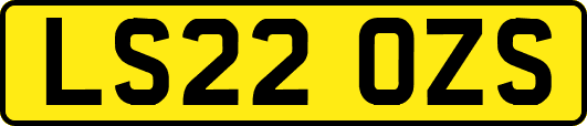 LS22OZS