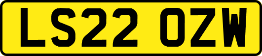 LS22OZW