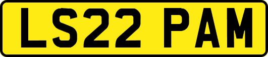 LS22PAM