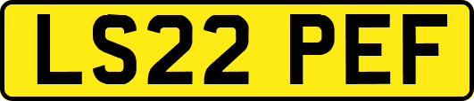 LS22PEF