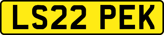LS22PEK
