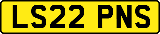 LS22PNS