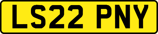 LS22PNY