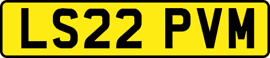 LS22PVM