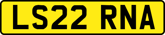 LS22RNA