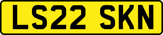 LS22SKN