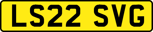 LS22SVG