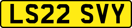 LS22SVY