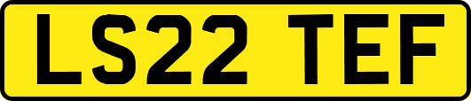 LS22TEF