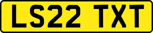 LS22TXT