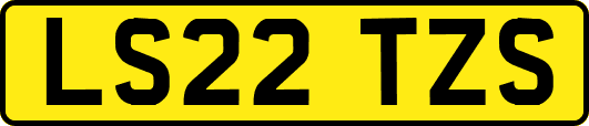 LS22TZS