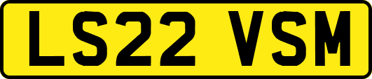 LS22VSM