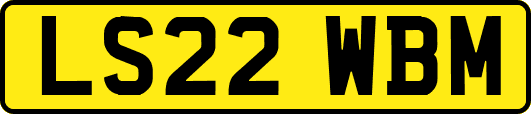 LS22WBM