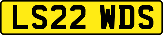 LS22WDS