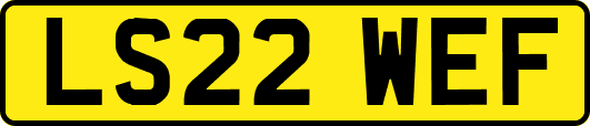 LS22WEF