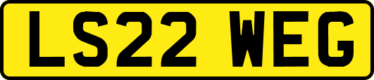 LS22WEG