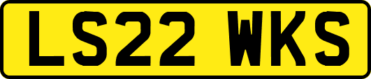 LS22WKS