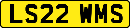 LS22WMS