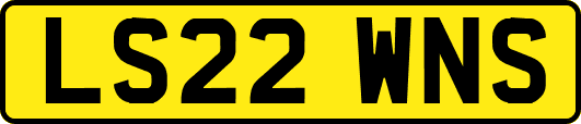 LS22WNS