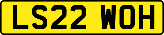 LS22WOH