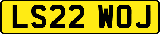 LS22WOJ