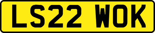 LS22WOK