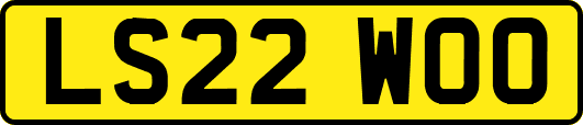 LS22WOO