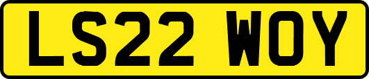LS22WOY