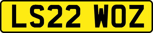 LS22WOZ