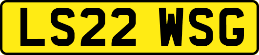 LS22WSG