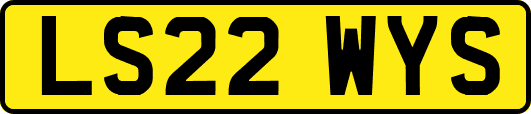 LS22WYS