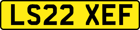 LS22XEF