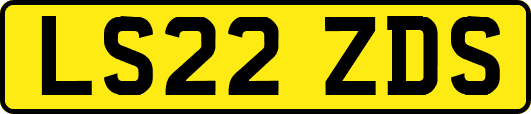 LS22ZDS