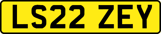 LS22ZEY