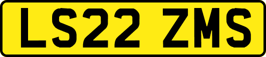 LS22ZMS