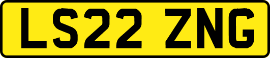 LS22ZNG