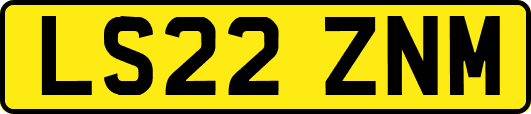 LS22ZNM