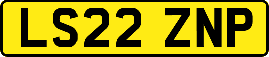 LS22ZNP