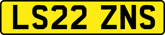 LS22ZNS