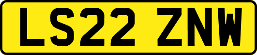 LS22ZNW