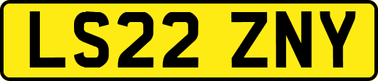 LS22ZNY
