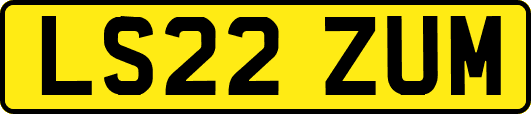 LS22ZUM