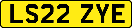 LS22ZYE