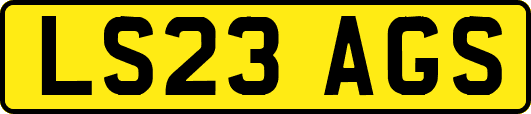 LS23AGS