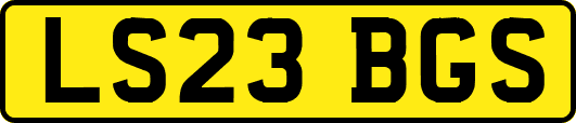 LS23BGS