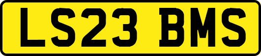 LS23BMS
