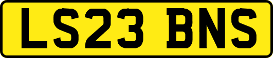 LS23BNS