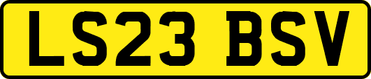 LS23BSV